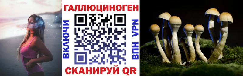 где можно купить наркотик  Белоярский  Галлюциногенные грибы Psilocybe 
